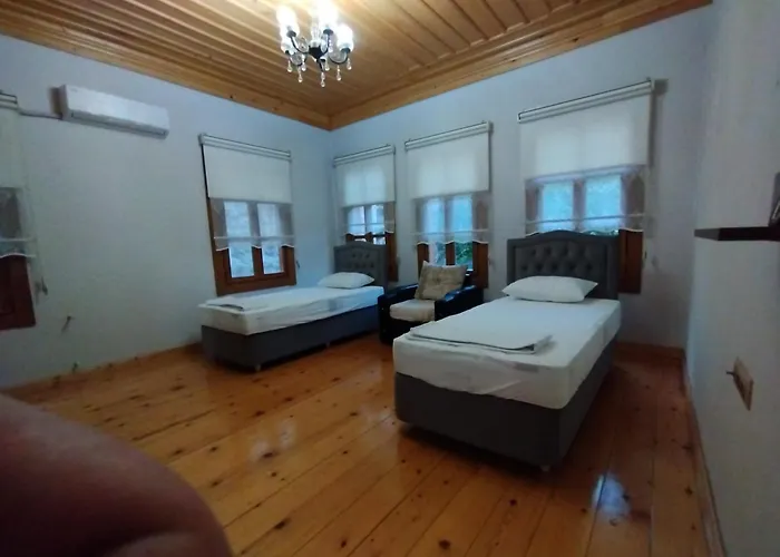 Villa Asiye Hanim Konagi *