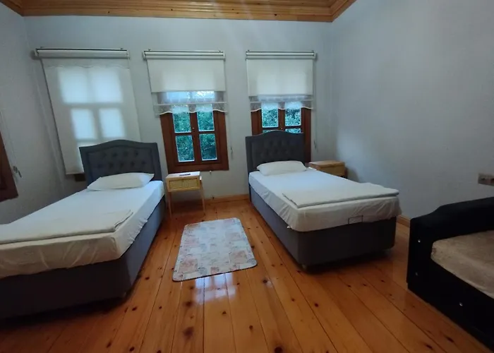 Villa Asiye Hanim Konagi Trabzon