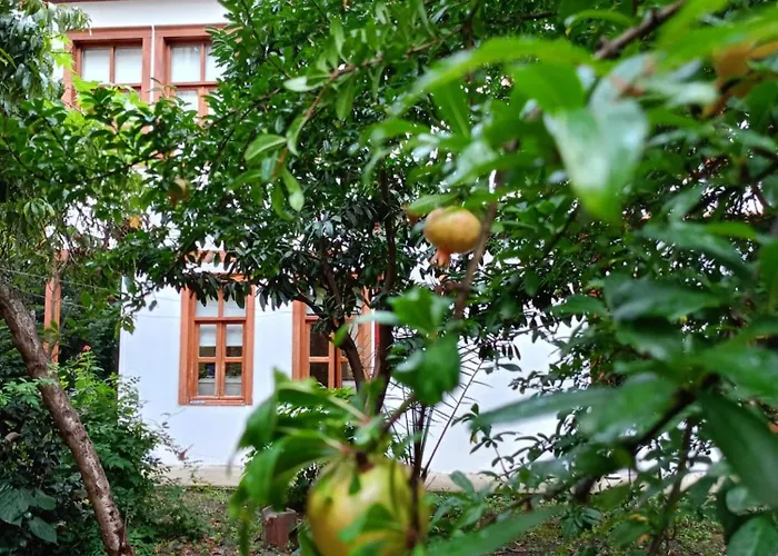 Asiye Hanim Konagi Villa