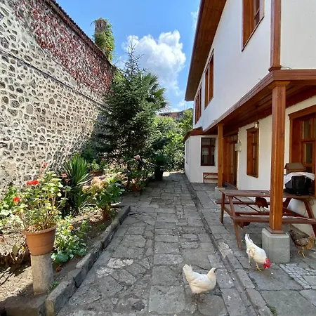 Asiye Hanim Konagi Villa Trabzon