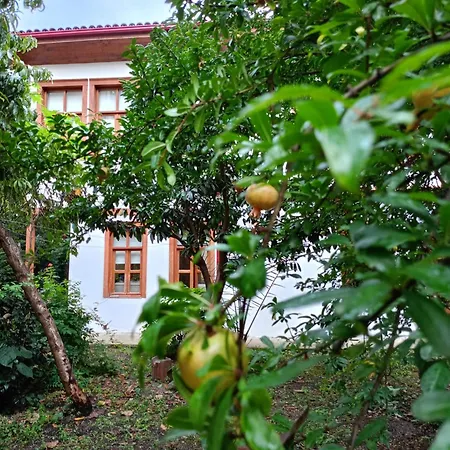 Asiye Hanim Konagi Villa