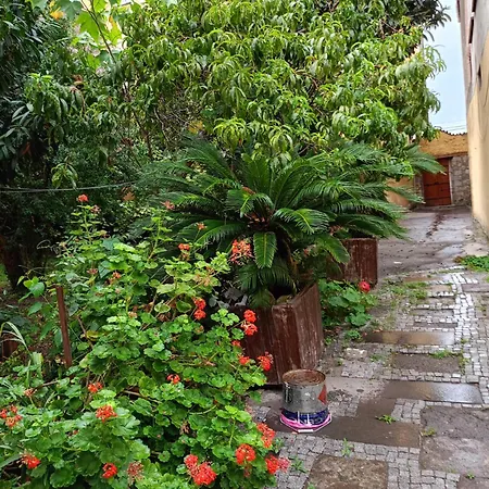 Asiye Hanim Konagi *