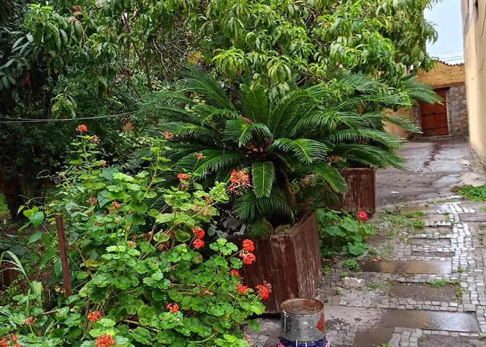 Asiye Hanim Konagi *